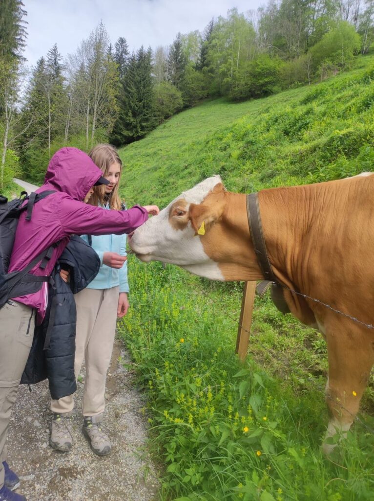 Erster Tierkontakt auf der Wanderung 2024